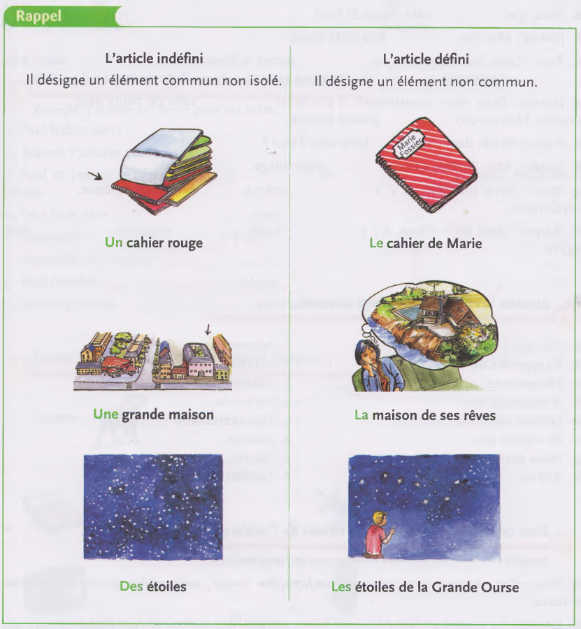 Les articles définis et indéfinis Picture1
